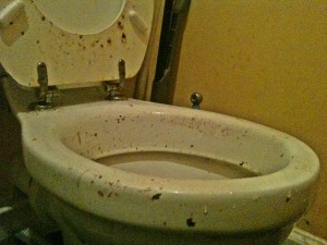Dirty_toilet